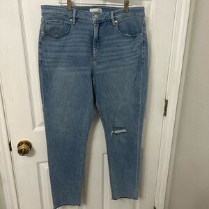 LOFT Sky Blue Ankle Jeans